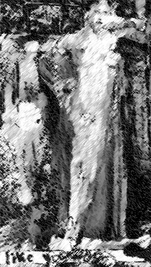 like you do victoria char